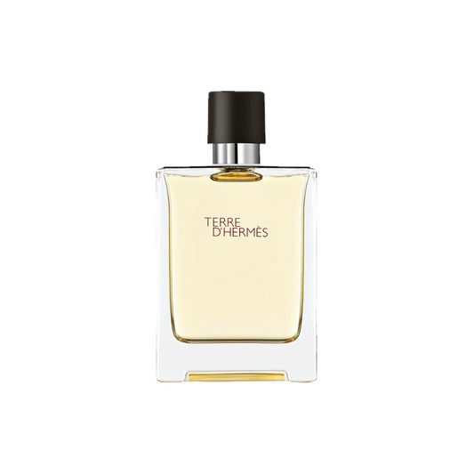 Terre D'Hermes EDT 100ml