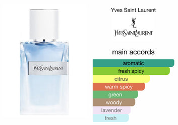 Y by YSL 